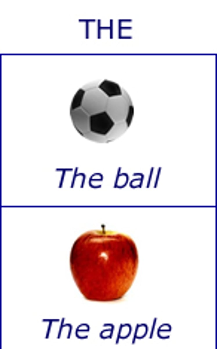 <p>definite noun</p>