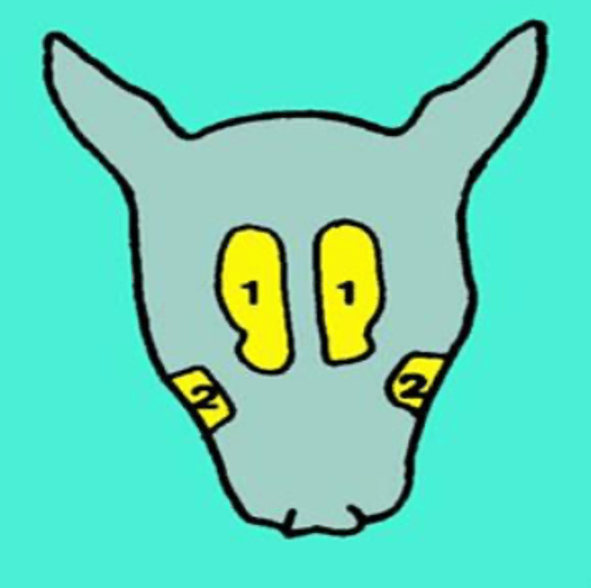 <p>dog- what is 2?</p>