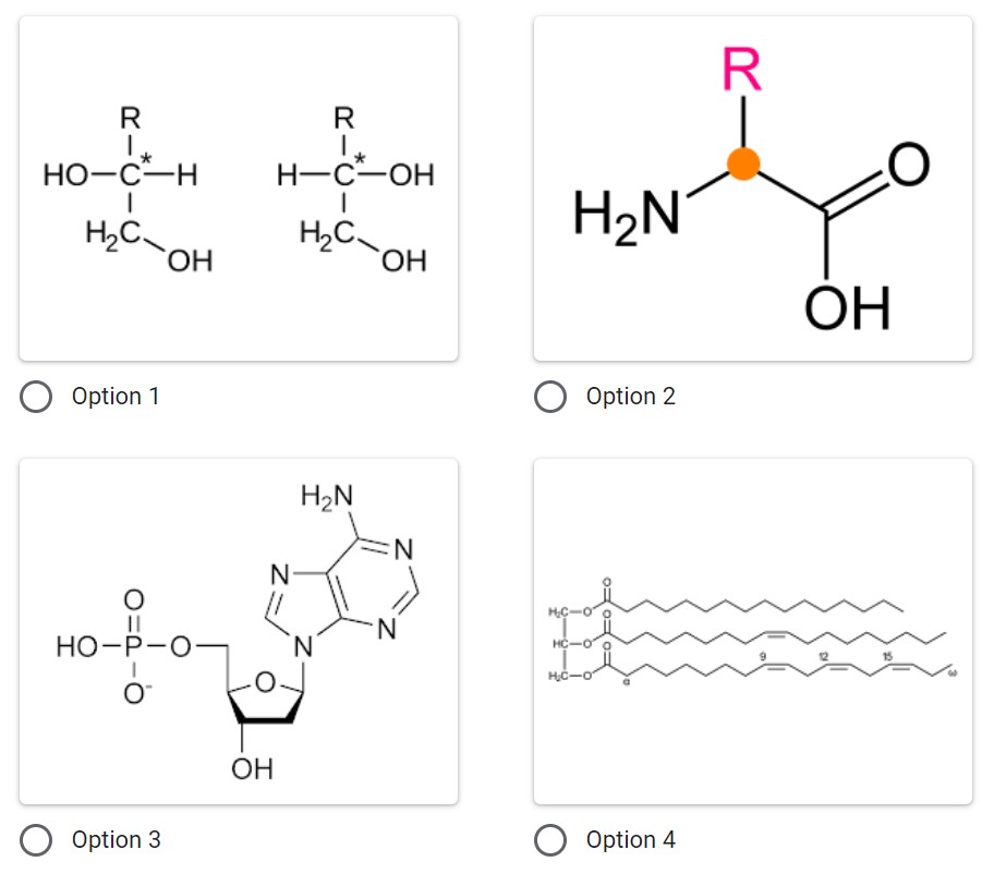 <p>Which of the following represents a nucleotide which is the monomer for Nucleic Acids?</p>