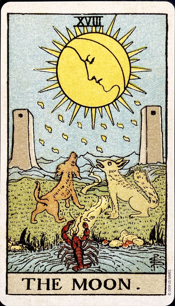 <p>Księżyc ✨</p>