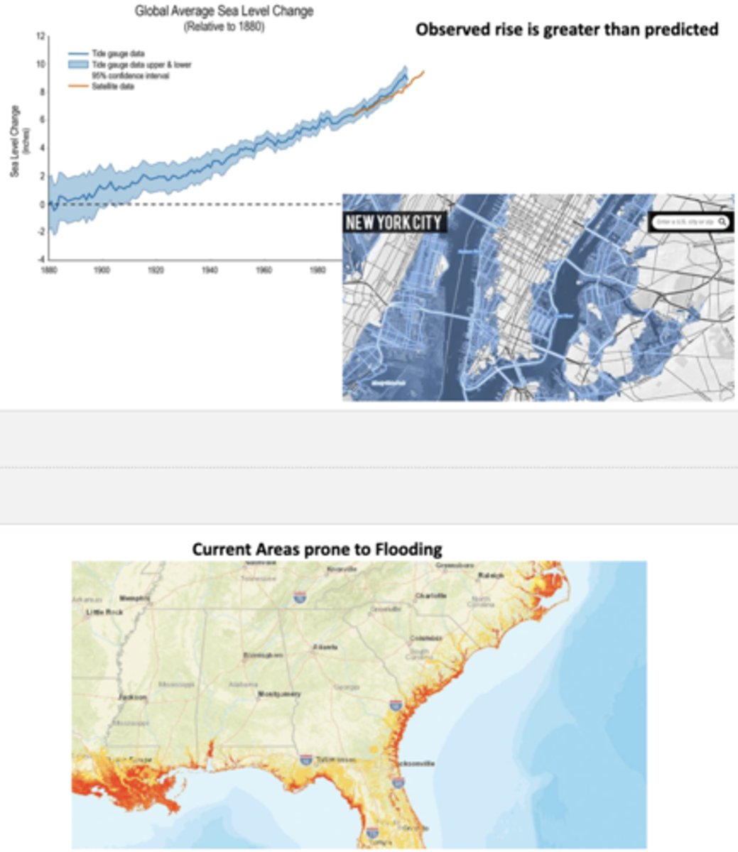 <p>Risen significantly, ~9 inches since 1880 by 2022, which is greater than predicted; coastal levels in Florida have risen 8 inches from 1950, and the rate of rise is increasing such that by 2050 it will be ~1 ft</p>