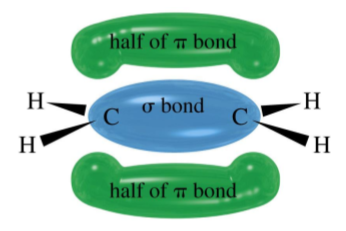 <p>Alkenes are unsaturated hydrocarbons that contain at least one carbon-carbon double bond (C=C). They have the general formula C<sub>n</sub>H<sub>2n</sub>.</p><p>Alkenes are planar molecules with no rotation around the double bond due to <span>the π-orbital restricting the rotation of the bonded atoms and creating a cloud of high electron density.</span></p>