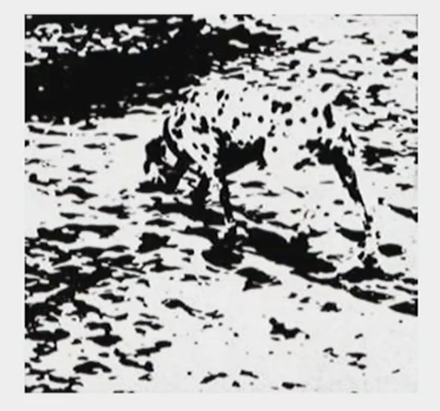 <p>This theory can use <strong>both </strong>top-down processing and bottom-up processing or just bottom-up processing. </p><p></p><p>For example, in the image if <strong>you’ve seen</strong> something like it before you can draw from your past experience and figure out what the image is. Hence, using bottom-up processing to first analyse the picture and see if its familiar. Then, use top-down processing to quickly identify it rather than continue to use the bottom-up step by step process. </p><p></p><p>In contrast, if you’ve never seen the image you can use bottom-up processing to analyse step by step and <strong>slowly </strong>figure it out. </p>