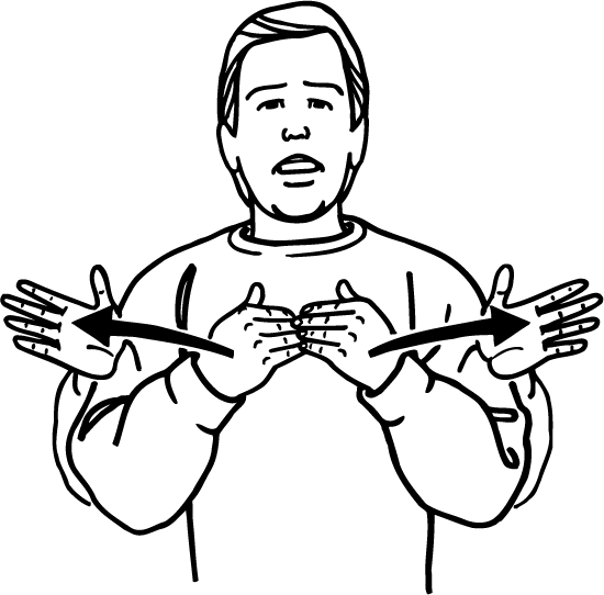 <p>The doors at the horse race flying open to start the race.</p>