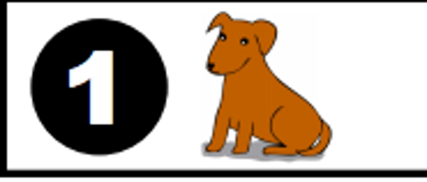 <p>chǒngwù</p><p>pet</p>