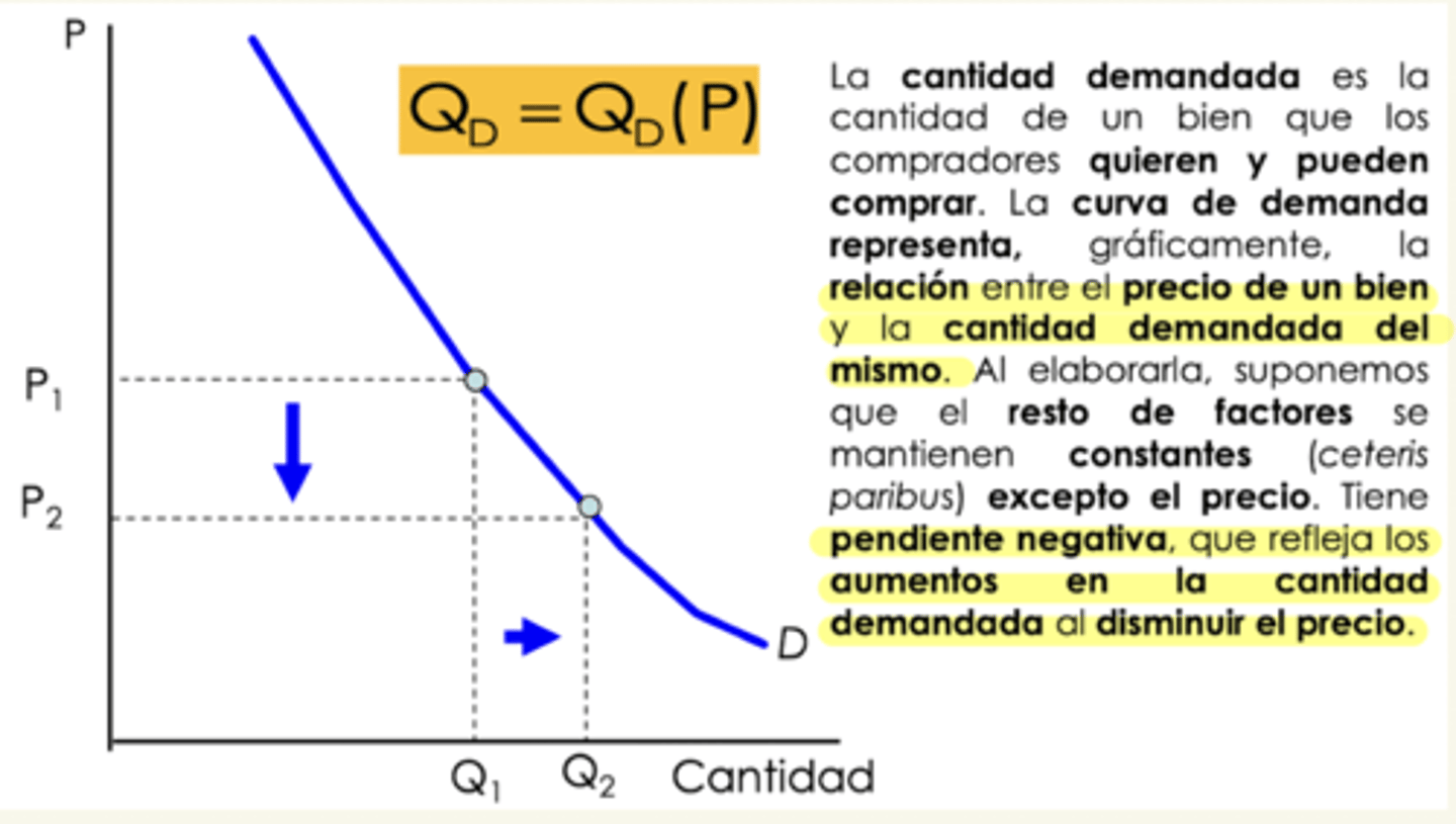 <p>el precio de un bien y la cantidad demandada del mismo</p><p>pendiente negativa</p>