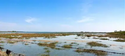 <p>BLACKWATER ESTUARY, ESSEX</p><p>sustianble process, all stakeholders benefit</p>