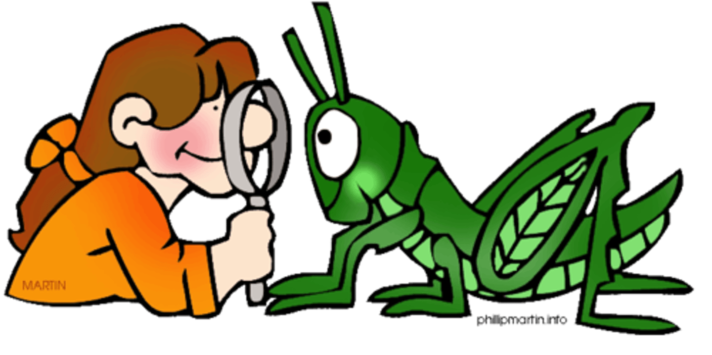 <p>to see; to notice</p>