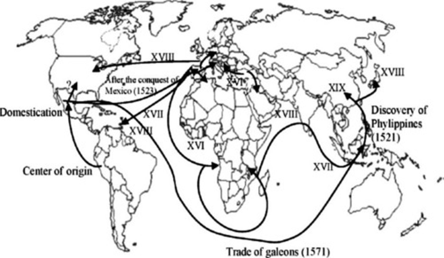 <p>spread of culture traits or food/plants/animals that occur after the first introduction of those traits. This type of diffusion often happens through processes like migration, trade, or communication, where the cultural traits are adopted and adapted by new groups over time.</p>
