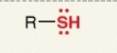 <p><span>R–SH</span></p>