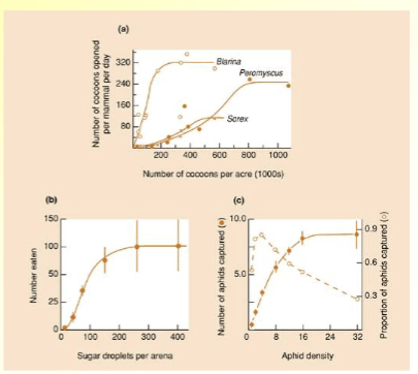 <p>- Like type II at higher prey densities, but lower than expected at low prey densities</p><p>- Could be caused by 'switching'</p><p>- Leads to s-shaped ('sigmoidal') curve</p><p>- Refugium for prey at low densities</p>