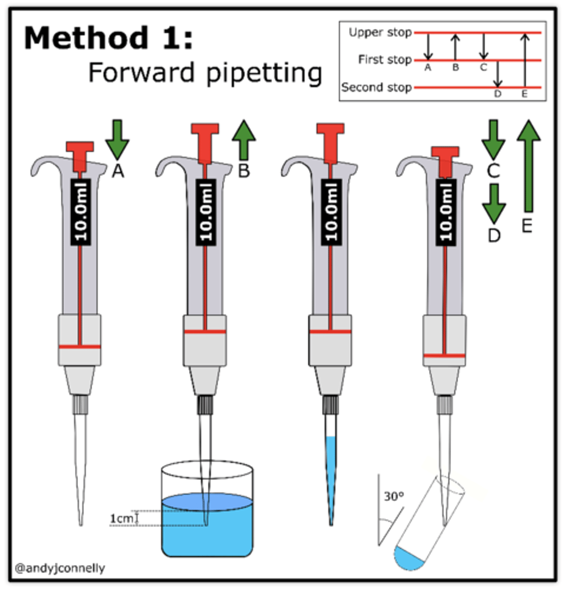 <p>1. Wells must be at the negative (back) end.</p><p>2. Fill the box with a TAE buffer to level that just covers the entire surface of gel.</p><p>3. Use a pipette set to 20 and load fresh pipette tips.</p><p>4. Draw 20 of the first sample into the pipette tip.</p><p>5. Steady the tip using two hands while holding the plunger.</p><p>6. Dip pipette tip into surface of buffer into the well and slowly push out each sample.</p>