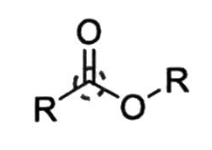 <p>What is this functional group?</p>