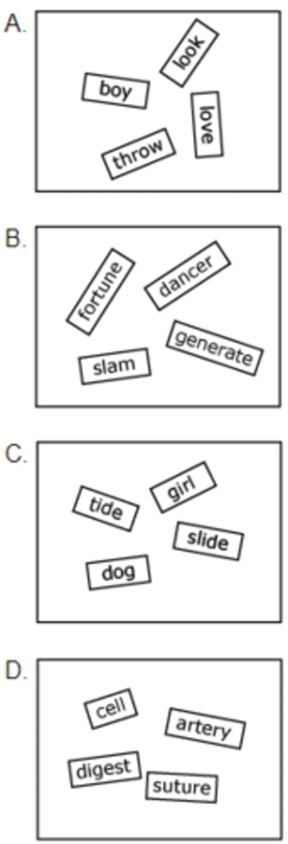 <p>.</p><p>.</p><p>.</p><p>.</p><p>.</p><p>.</p><p>.</p><p>.</p><p>.</p><p>.</p><p>.</p><p>.</p><p>.</p><p>.</p><p>.</p><p>.</p><p>.</p><p>.</p><p>.</p><p>ANSWER: D. group D</p>