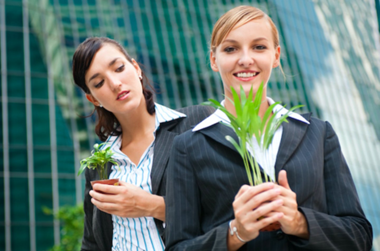 <p>sự ghen tỵ</p>