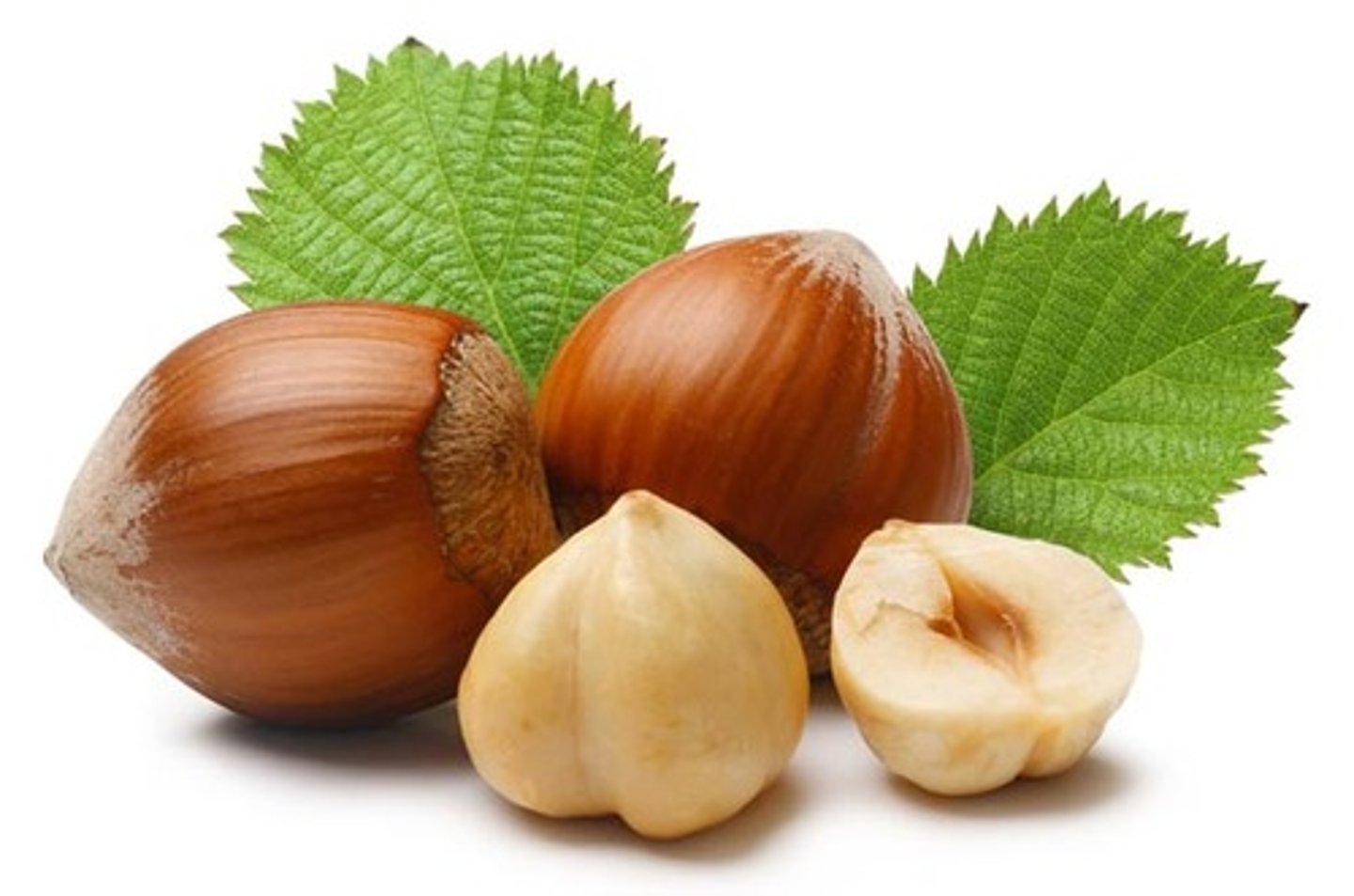 <p>hazelnuts</p>