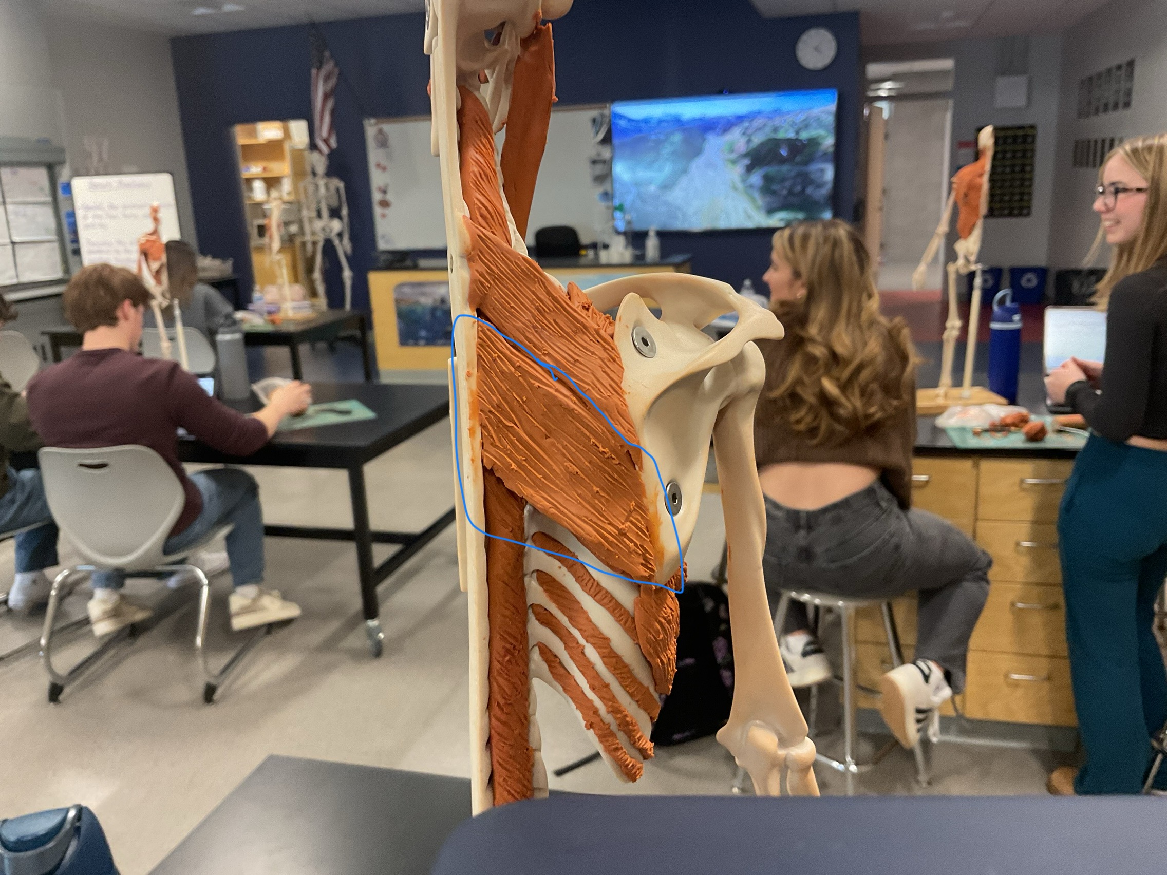 knowt flashcard image