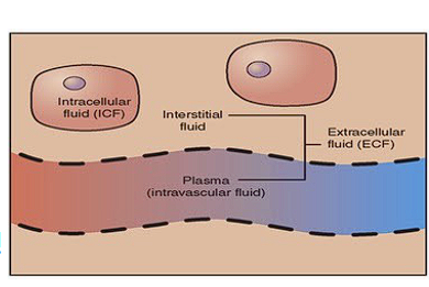 <p>Word for fluid inside a cell?</p>