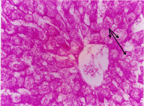 <p>THOSE THREE BLACK ARROWS ARE POINTING </p>