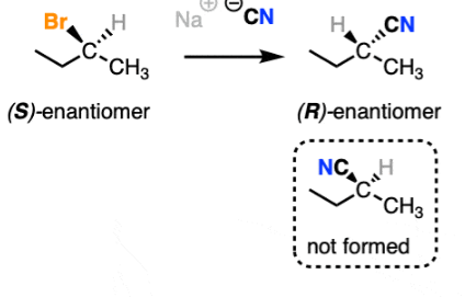 <p>makes stereoisomers<br>3D formation of bonds</p>