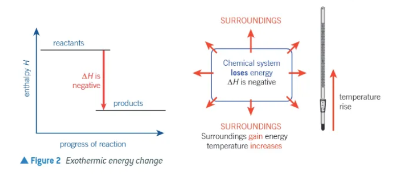 <ul><li><p>∆H is negative </p></li><li><p>chemical system loses energy </p></li><li><p>surroundings gain energy </p></li><li><p>temperature of surroundings increases </p></li></ul><p></p>