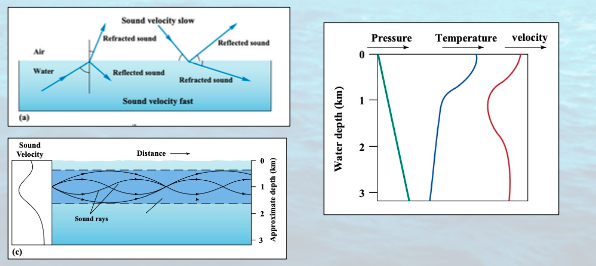 <p>sound in water:</p><p>sound travels very __ through the water (10-1000s of meters and kilometers), depending on __ and __. </p><p>Changes in __ and __ refract sound and often dissipate it. </p><p>Sound travels best __ (no dissipation by refraction) or __ (smaller changes in velocity)</p>