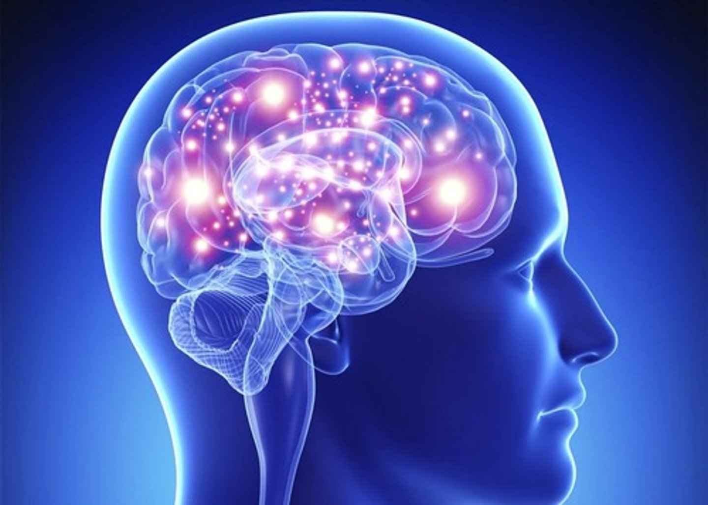 <p>Cognitive theory states that behaviour can be explained by looking at how the brain processes information, and therefore how we think.</p>