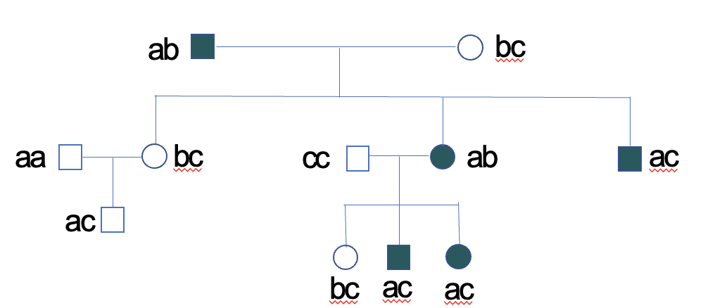 <p>Method to find risk alleles in complex disease. Looks for linkage between mapping markers and occurrence of disease in families. </p>