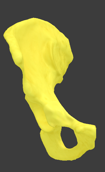 term image