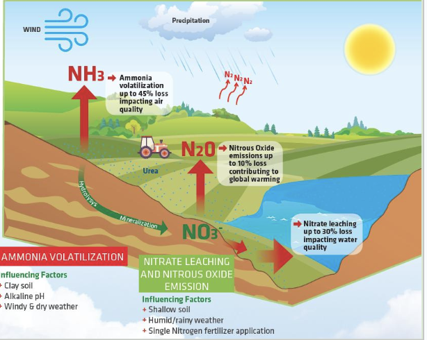 <ul><li><p>Climate</p></li><li><p>Leaching &amp; Eutrophication</p></li></ul><p></p>