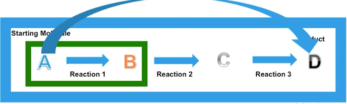 <p>Sequential  Pathways/ “Coupling”</p>