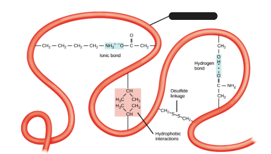 <p>What is being shown in the image?</p>