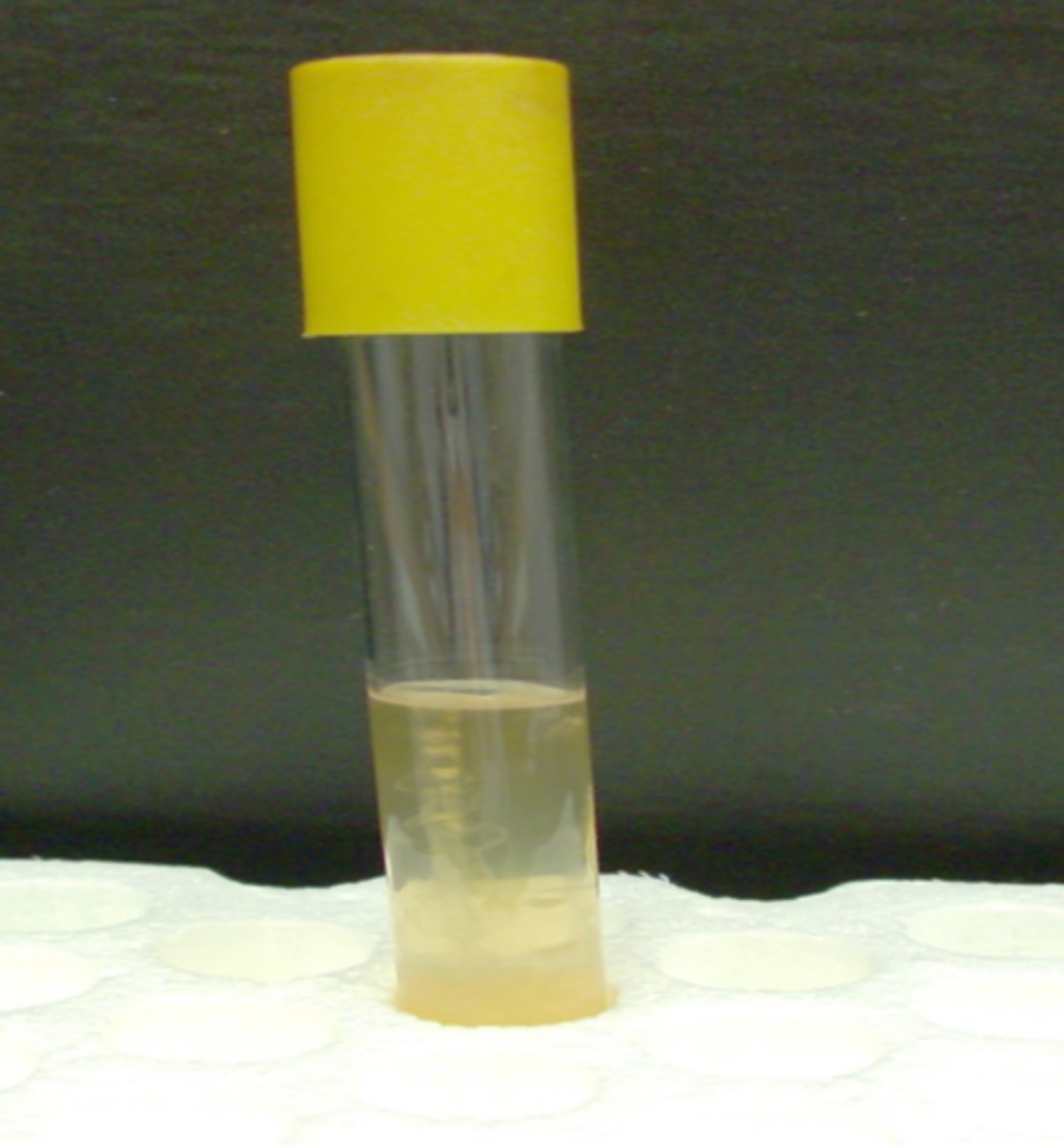 <p>Small amount of black or no black</p>