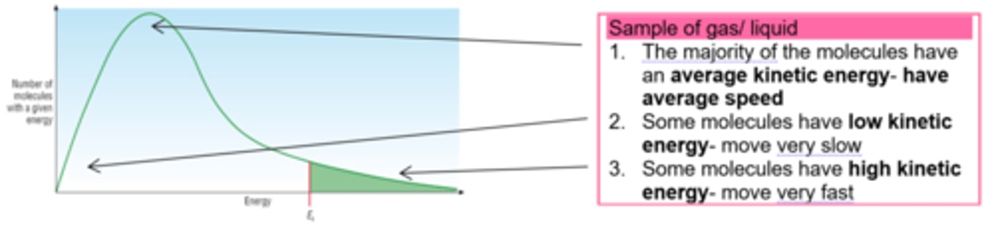 <p>Sample of gas/ liquid</p><p>1. The majority of the molecules have an average kinetic energy- have average speed</p><p>2. Some molecules have low kinetic energy- move very slow</p><p>3. Some molecules have high kinetic energy- move very fast</p>