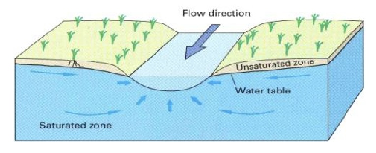 <p>Stream-Groundwater Interaction:</p><ul><li><p>inflow of groundwater through the streambed</p></li><li><p>higher elevation of water table</p></li><li><p>receive water from he groundwater system</p></li></ul>