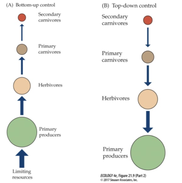 <p>system design approach where parts of a system are defined in details</p>