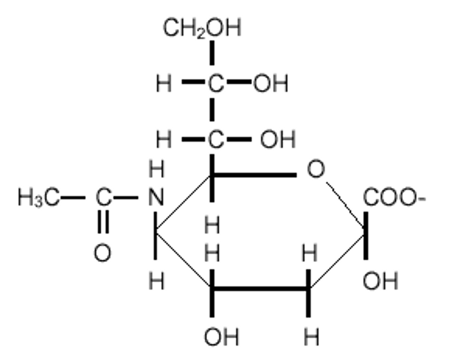 <p>which monosaccharide derivative is considered an N-acetyl-mannosamine</p>