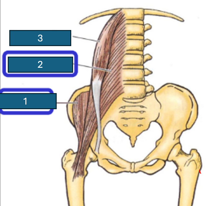 <p>1</p>