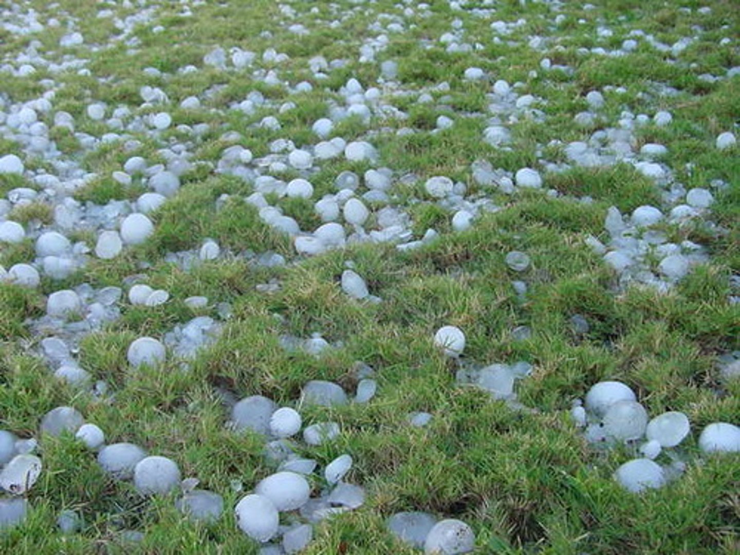 <p>granizada</p>