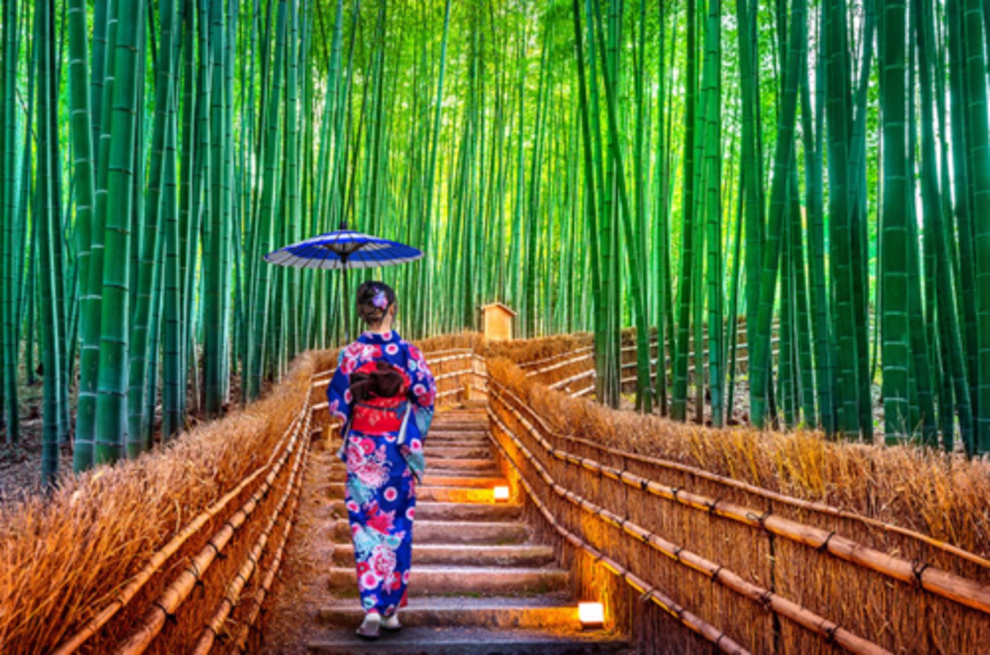 <p>Where is this?</p>