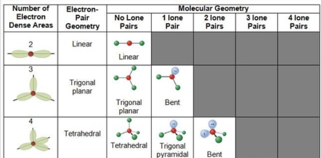 <p>Linear: 180 degrees; Trigonal planar: 120 degrees; Tetrahedral: 109.5 degrees.</p><ul><li><p>Trigonal Planar if 3 atoms with no lone pairs surround the central atom (BH<sub>3</sub>)</p></li><li><p>Tetrahedral surrounded by 4 atoms and no lone pairs</p></li><li><p>Trigonal Pyramidal: 3 attached to the central atom with one lone pair</p></li><li><p>Linear consists of two atoms with no lone pairs around 107 degrees</p></li><li><p>Bent shape consists of 2 atoms and one or more lone pairs around the central atom, resulting in bond angles less than 120 degrees.</p></li></ul><p></p>