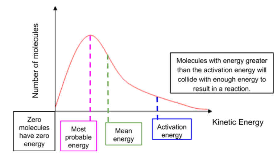 <ul><li><p>all molecules in a substance don’t have the same amount of energy they are distributed in a pattern called Maxwell</p></li><li><p>Total area under curve represents number of molecules, therefore must remain constant</p></li></ul>