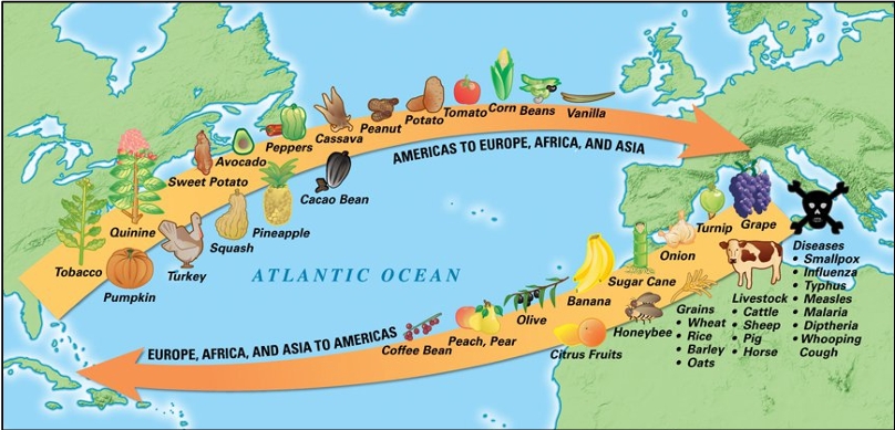 <p><span>widespread transfer of plants, animals, and diseases between the </span>New Worl<span>d in the </span>Western Hemisphere<span>, and the </span>Old World<span> in the </span>Eastern Hemisphere</p>