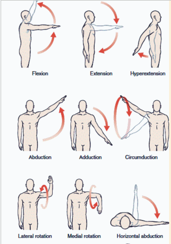 <ul><li><p><strong>Osteokinematic motions are movements of limbs through space about a joint.</strong></p></li><li><p><strong>Describes clear movements of bones which are visible from the outside. </strong></p></li><li><p>Movement occurs around a joint axis</p></li><li><p>Gross movement</p><ul><li><p>flexion/extension</p></li><li><p>abduction/adduction</p></li><li><p>medial rotation/lateral rotation </p></li></ul></li></ul><p></p><p></p>