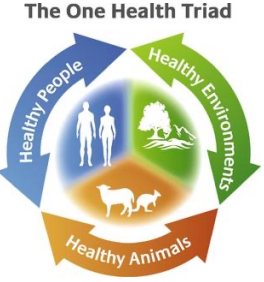 <p>One Health</p>