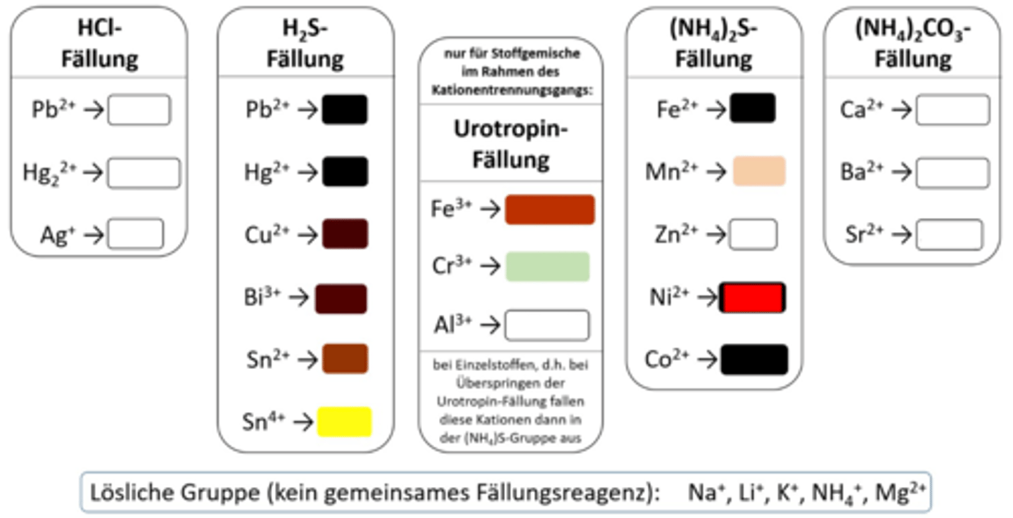 <p>Ni²⁺ NS</p>