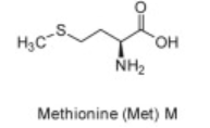<p>Met</p>