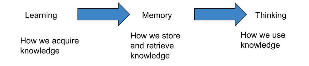 The cognitive process.