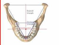 <ul><li><p>Triangle of Bonvill (unilateral, image attached)</p></li><li><p>Accepts the most important movements are vertical (opening and closing) around anatomical axis of rotation </p></li><li><p>Mechanical axis of rotation (hinge axis) is 2.5cm behind anatomical axis of rotation</p></li></ul><p></p>