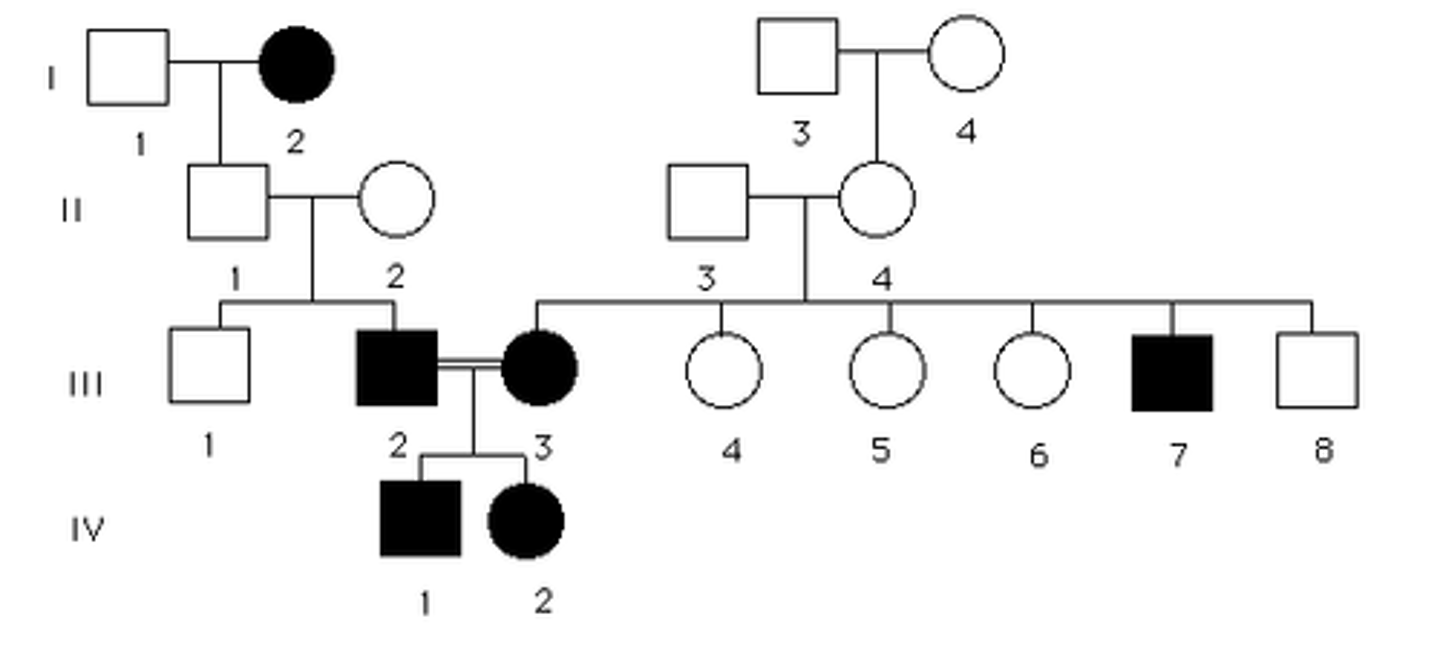 <p>inheritance pattern of a recessive allele on an autosome</p>
